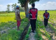 Patroli Polres Lombok Barat Jaga Keamanan Lahan Jagung