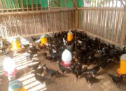 Petani di Kuripan Didorong Polri Manfaatkan Pekarangan untuk Pangan