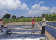 Polisi Kediri Gerakkan Petani Desa Montong Are Tanam Cabai