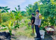 Gerakan Tanam Mandiri di Bajur: Polisi dan Warga Bersinergi Perkuat Ekonomi Keluarga