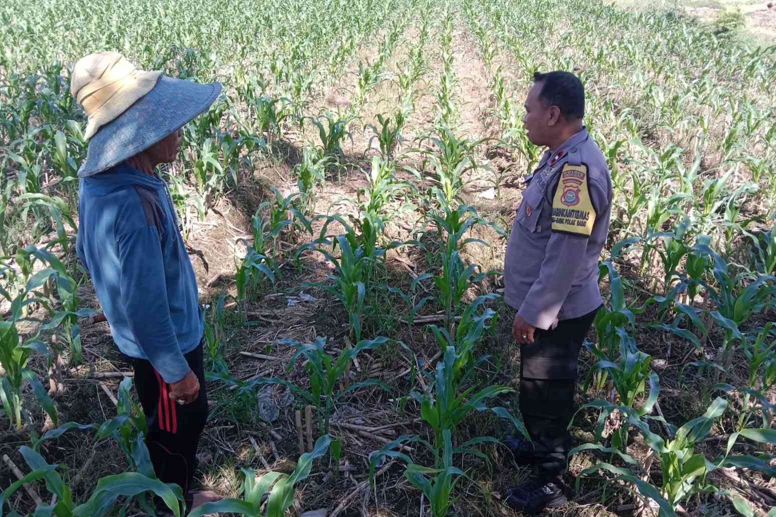 Sinergi Polri dan Petani, Optimalisasi Lahan Kosong di Dusun Jogot untuk Ketahanan Pangan