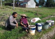 Ketahanan Pangan Dimulai dari Desa: Inisiatif Polsek Kuripan Jadi Contoh