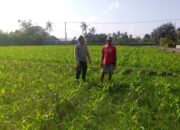 Polsek Kuripan Apresiasi Peran Aktif Bhabinkamtibmas di Program Pangan Desa Jagaraga