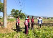 Patroli Samapta Polres Lobar Dukung Ketahanan Pangan Gerung