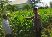 Polisi dan Petani Telagawaru Bersinergi Wujudkan Desa Mandiri Pangan
