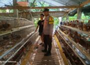 Silaturahmi Bhabinkamtibmas di Kandang Ayam, Polri Ajak Warga Desa Jagaraga Tanam Pangan Mandiri