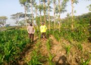 Petani Dusun Adeng Didampingi Bhabinkamtibmas dalam Program Ketahanan Pangan Keluarga
