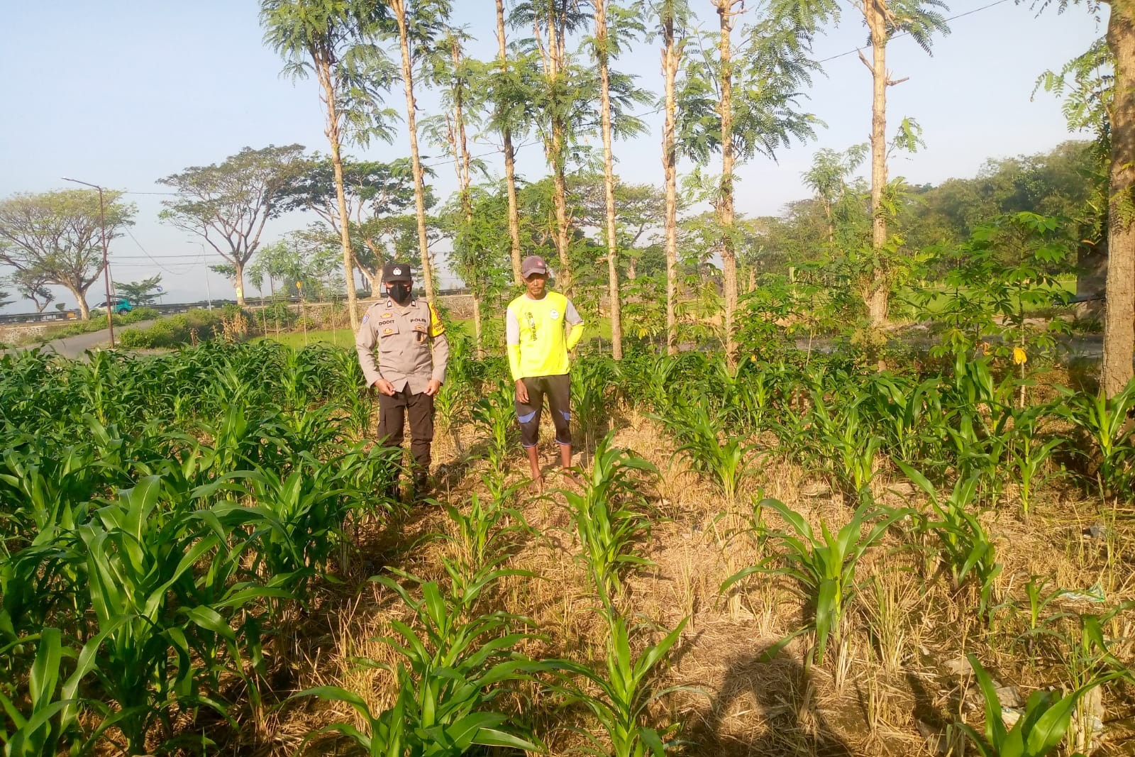 Kolaborasi Polisi dan Petani di Jagaraga untuk Wujudkan Lumbung Pangan Lokal