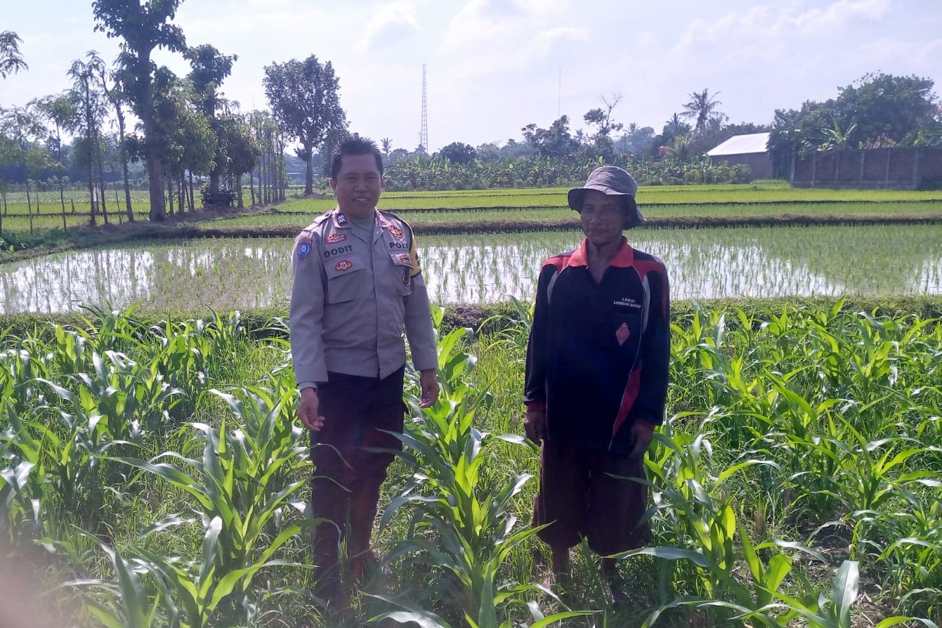 Sinergi Polisi dan Petani di Desa Jagaraga untuk Wujudkan Kemandirian Pangan
