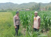 Sosialisasi Ketahanan Pangan di Dusun Pelabu: Polri Ajak Warga Manfaatkan Lahan Produktif