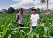 Pendekatan Humanis Polsek Kuripan: Sosialisasi Pangan dan Kamtibmas di Dusun Due Pelet