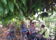 Kolaborasi Polri dan Petani di Lombok Barat Perkuat Fondasi Pangan Lokal