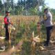 Panen Jagung di Dusun Lilin, Polsek Gerung Perkuat Sinergi dengan Petani
