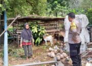 Ketahanan Pangan Dimulai dari Desa: Inisiatif Polisi di Senggigi Lombok Barat