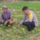 Sinergi Polri dan Warga Kuranji Dorong Desa Mandiri Pangan