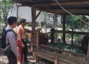 Edukasi Pertanian Pekarangan, Polsek Batulayar Beri Contoh di Dusun Melase