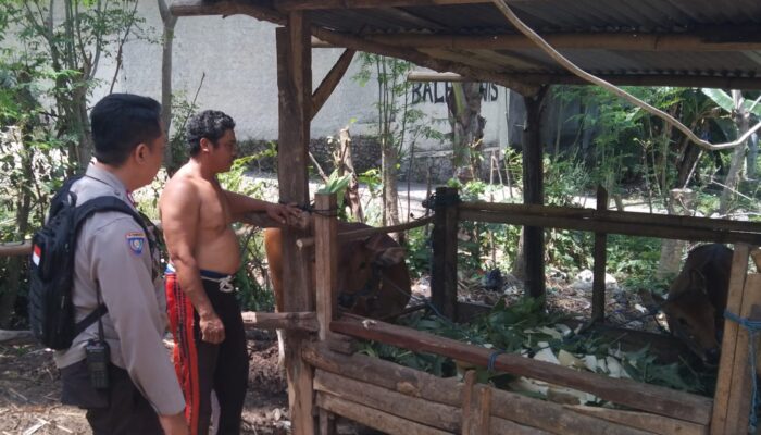 Edukasi Pertanian Pekarangan, Polsek Batulayar Beri Contoh di Dusun Melase