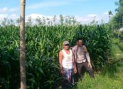 Polisi Hadir Dampingi Petani Jagaraga Tingkatkan Produksi Pangan Lokal