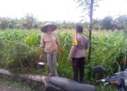 Bhabinkamtibmas Jagaraga Motori Pemanfaatan Pekarangan untuk Swasembada Pangan