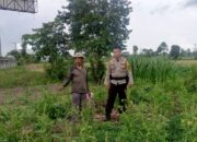 Sinergi Polisi dan Petani di Labuapi: Pemanfaatan Pekarangan untuk Pangan Keluarga