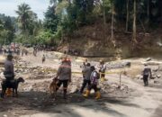 Empat Anjing Pelacak Polri Sisir Sungai Cari Tiga Korban Banjir Nagekeo
