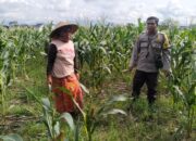 Sinergi Polisi dan Warga Karang Kebon untuk Kemandirian Pangan Lokal