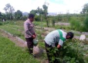 Polri Bersama Petani Dusun Tegal Dorong Perekonomian Desa Jagaraga Melalui Kemandirian Pangan