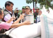 Gerakan Pangan Murah Warnai Panen Raya Jagung Serentak di Lombok Barat