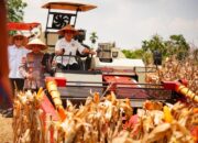 Panen Raya Kuartal III Polri Hasilkan 751 Ribu Ton Jagung, Bukti Nyata Dukung Swasembada Pangan