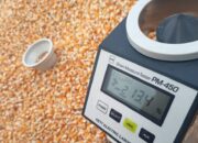 Bulog NTB Soroti Jalan Terjal Desa Kedaro sebagai Tantangan Penyerapan Jagung