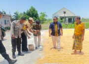 Bulog NTB Apresiasi Kualitas Jagung Gapoktan Desa Beleka Lombok Barat