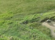 KKB Bakar SMP Negeri Kiwirok, Satgas Ops Damai Cartenz Amankan Desa Sekitar