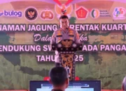 Gerung Jadi Saksi Penanaman Jagung Nasional, Polri dan Pemda Kompak Dukung Petani