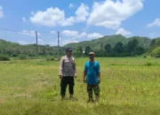 Jagung Jadi Andalan, Polri Giatkan Edukasi Ketahanan Pangan di Lombok Barat