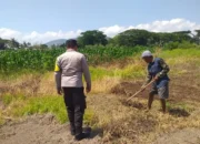 Petani Jagaraga Termotivasi, Lahan Tidur Disulap Jadi Sumber Pangan