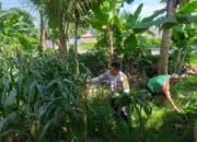 Petani Tambang Eleh Dukung Polri, Lahan Kosong Siap Ditanami Jagung