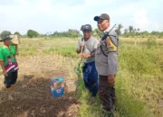 Polsek Labuapi Dukung Ketahanan Pangan Lewat Pendampingan Petani