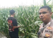 Ketahanan Pangan NTB Kuat, Peran Polsek Labuapi Jadi Sorotan
