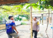 Teknik Tumpang Sari Jadi Solusi Pangan Keluarga di Lombok Barat