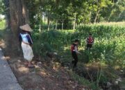 Hadapi Cuaca Ekstrem, Polri Perkuat Pengawasan Pertanian Jagung