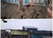 Satgas Ops Damai Cartenz Selidiki Kasus Penikaman Warga Pendatang di Dekai, Yahukimo