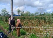 Polri ‘Turun ke Sawah’ di Lombok Barat, Dorong Warga Manfaatkan Lahan Produktif