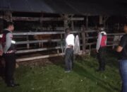 Jam Rawan 3C, Polisi Sekotong Sambangi Kandang Ternak Sapi Warga