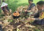 Dampingi Petani, Polri Pastikan Harga Jagung Tetap Stabil