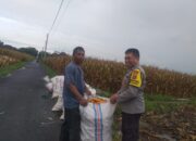 Bhabinkamtibmas Jagaraga Bina Petani Dukung Swasembada Pangan