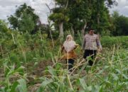 Polsek Labuapi Turun ke Desa Telagawaru, Sasar Lahan Pekarangan