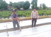 Aksi Nyata Bhabinkamtibmas Lombok Barat Dukung Ketahanan Pangan Nasional