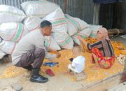 Sinergi Polri dan Petani Jaga Ketahanan Pangan NTB