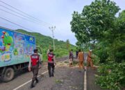 Respons Cepat Polisi: Jalan Sekotong Kembali Normal Pasca Pohon Tumbang