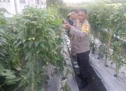 Bhabinkamtibmas dan Dinas Pertanian Bersatu Demi Petani Unggul